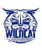 Northeast Pensacola Wildcats Football