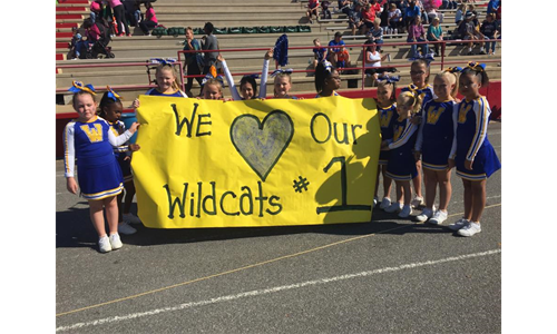 Wildcat Cheer