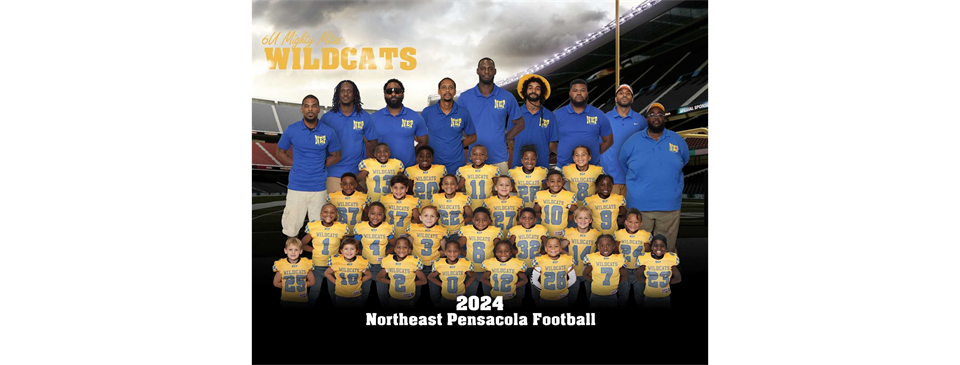 NEP 6U Wildcats