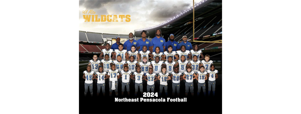 NEP 9U Wildcats